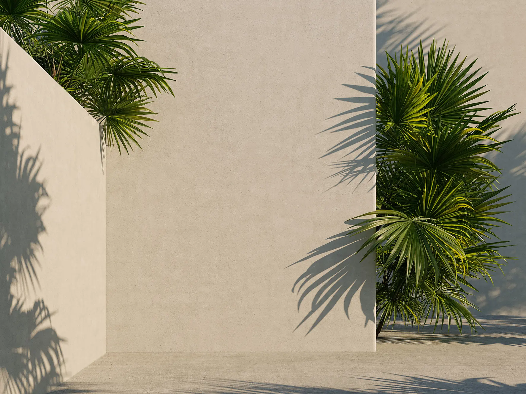 Concrete Wall and Plants_Contact us
